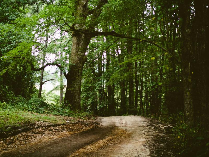 sudoku solving methods screenshot 3